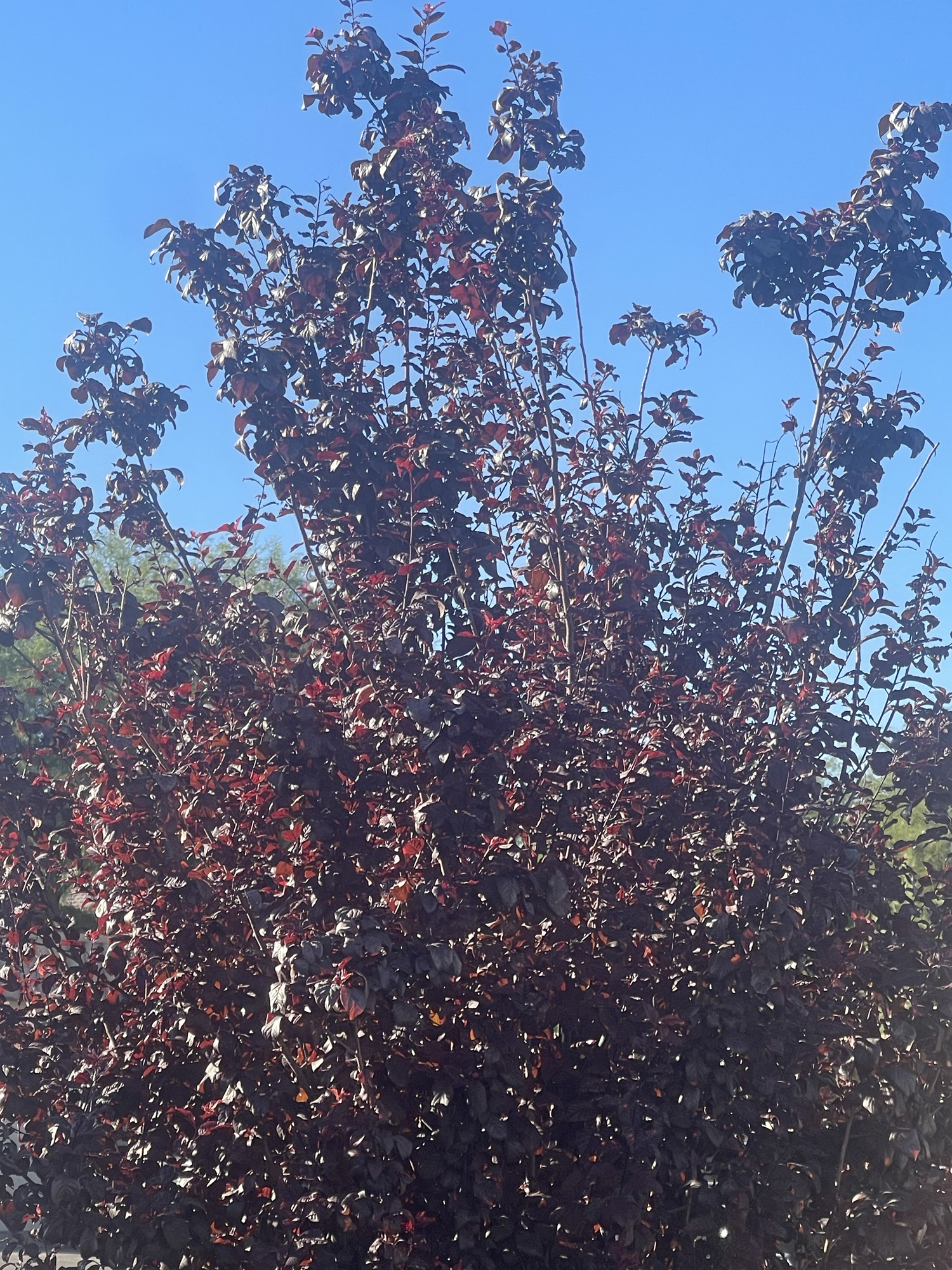 Do Good, Especially to the Household of Faith