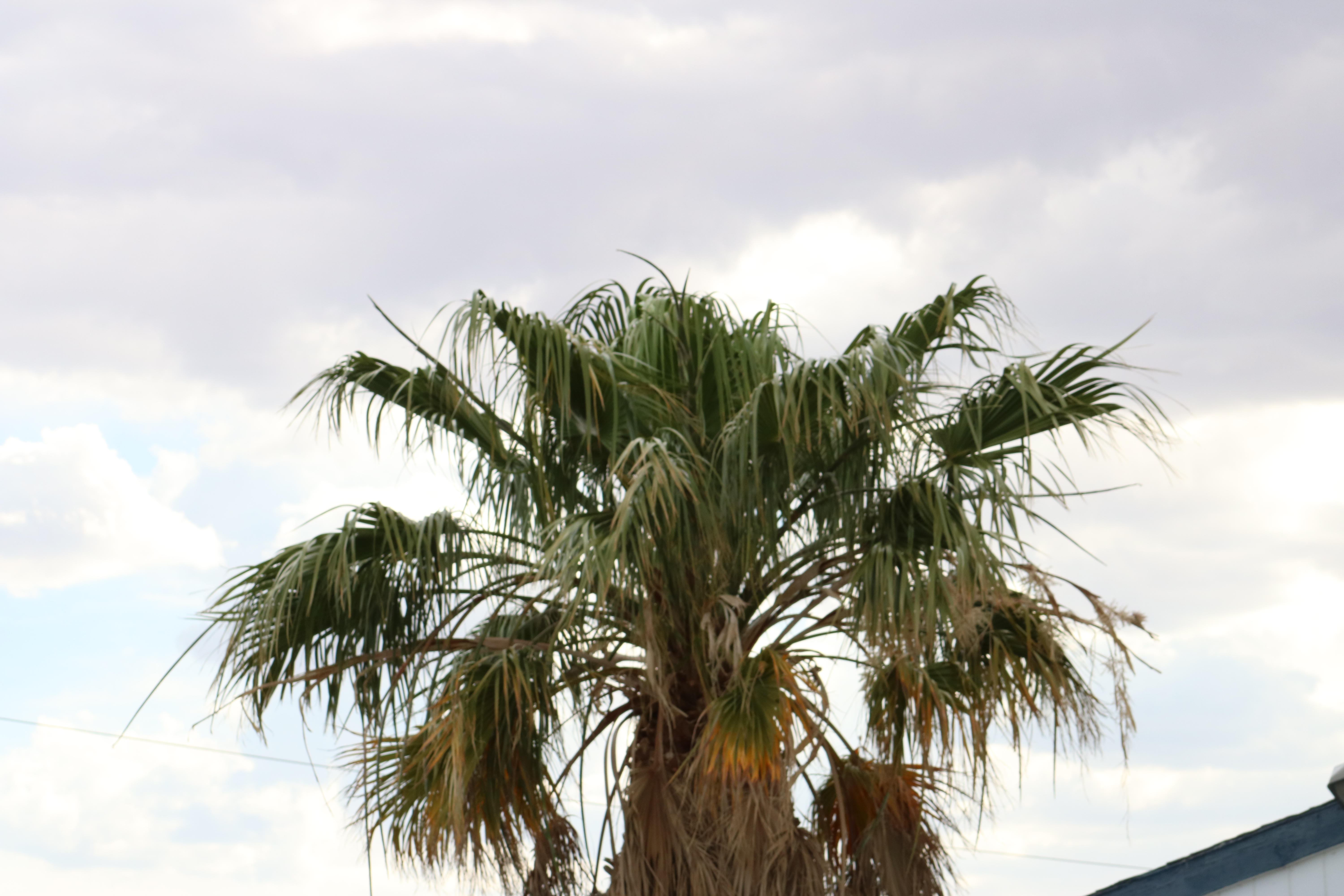 Coffee & Conversation: Update