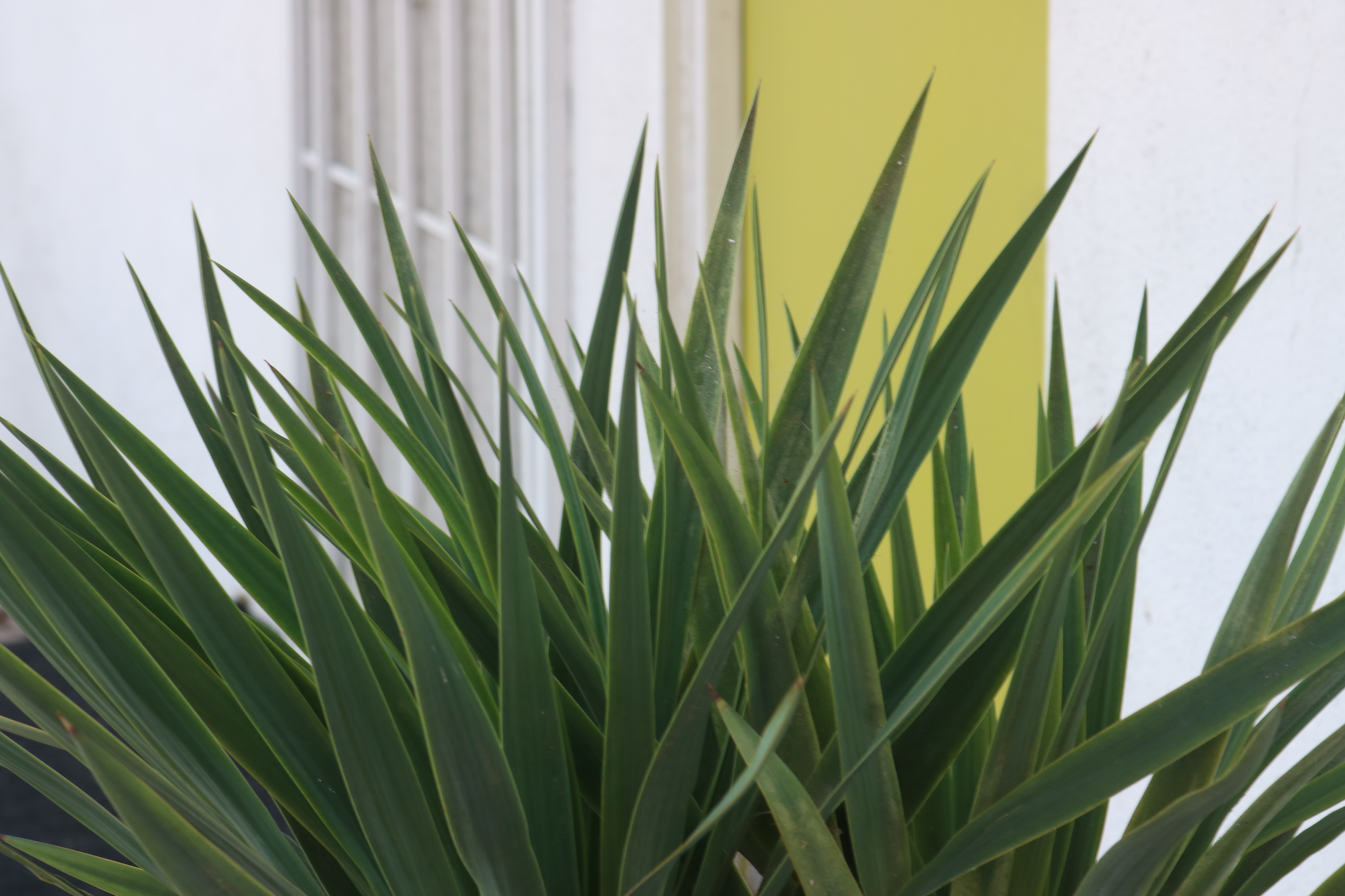 Happy Monday and Today’s Thoughts