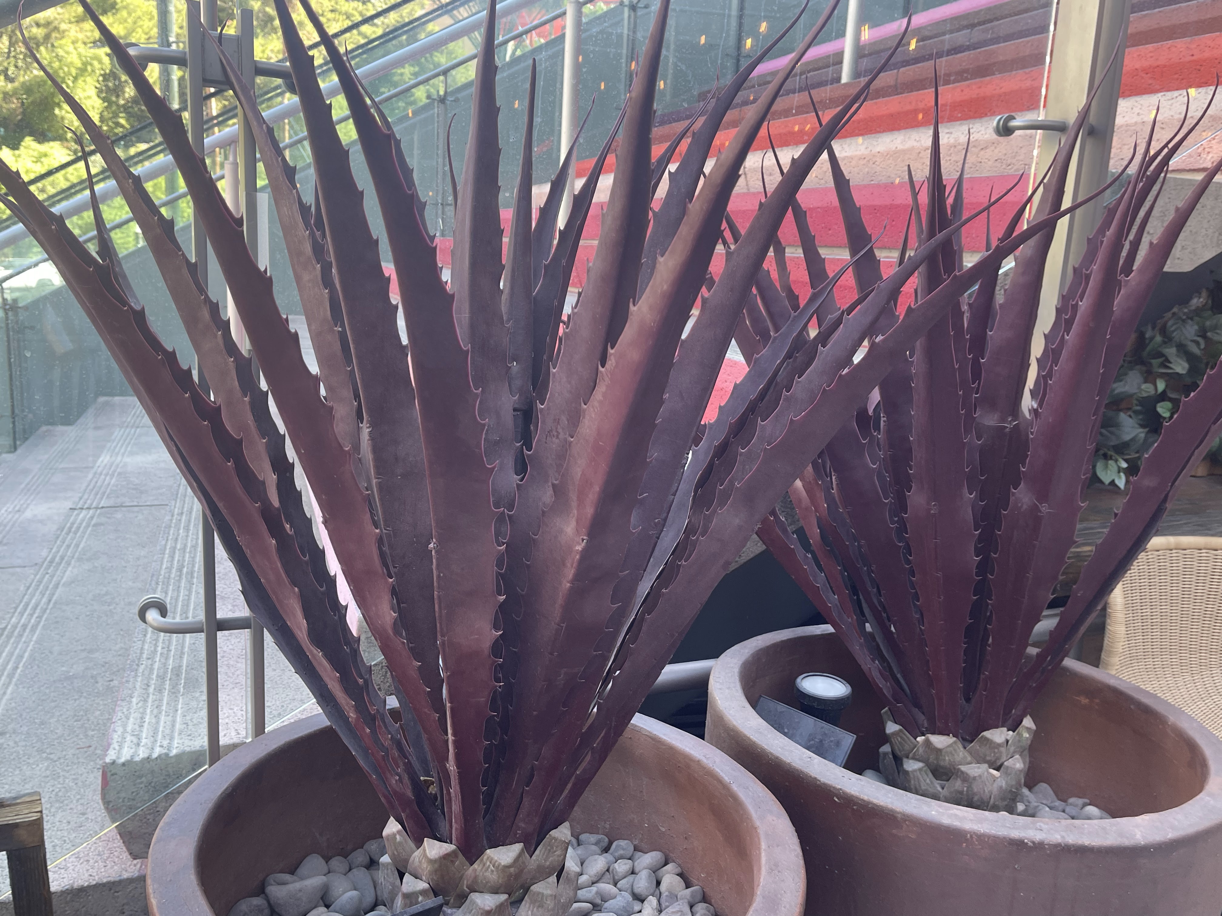 Happy Wednesday: What’s Your Process for Change