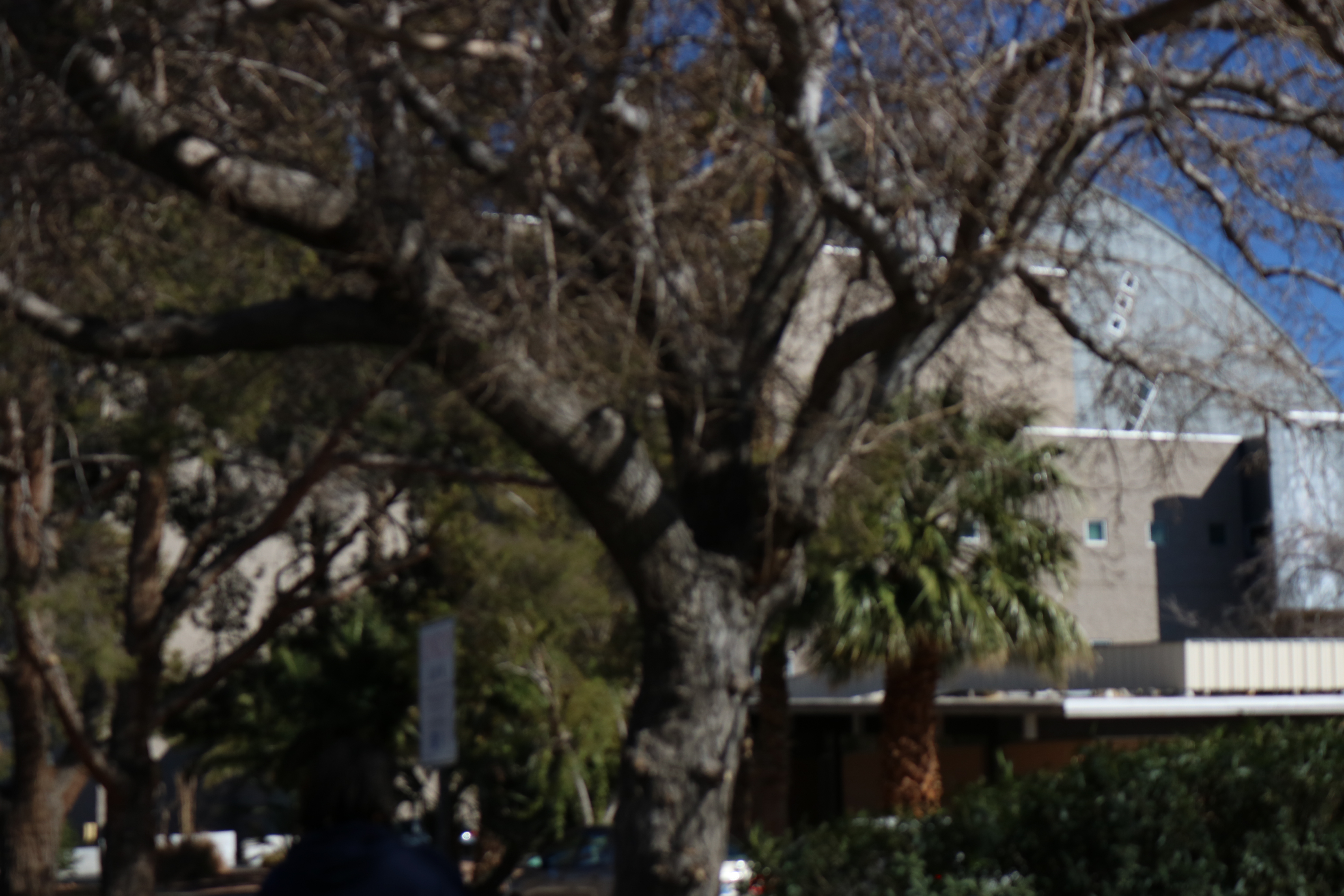 Quote for Today_03.21,25