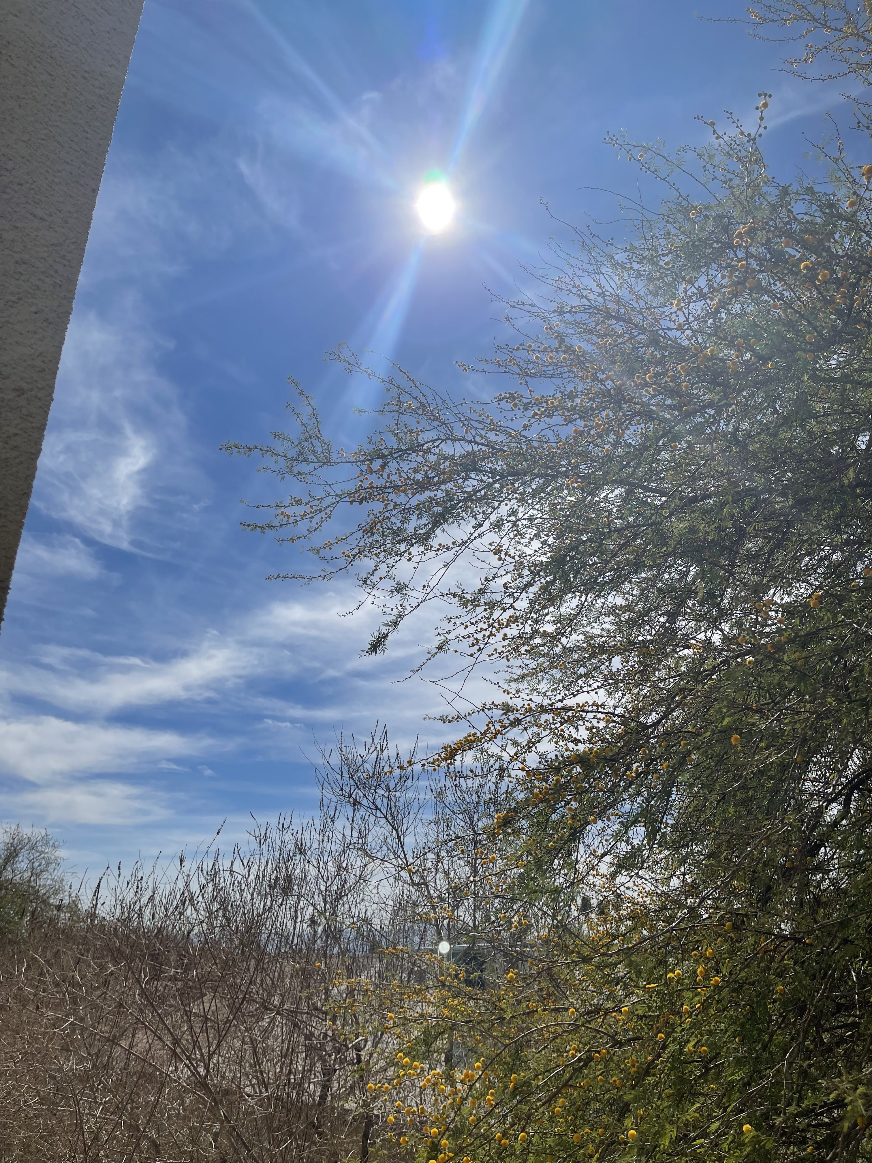 Thoughts for Today_03.24.25