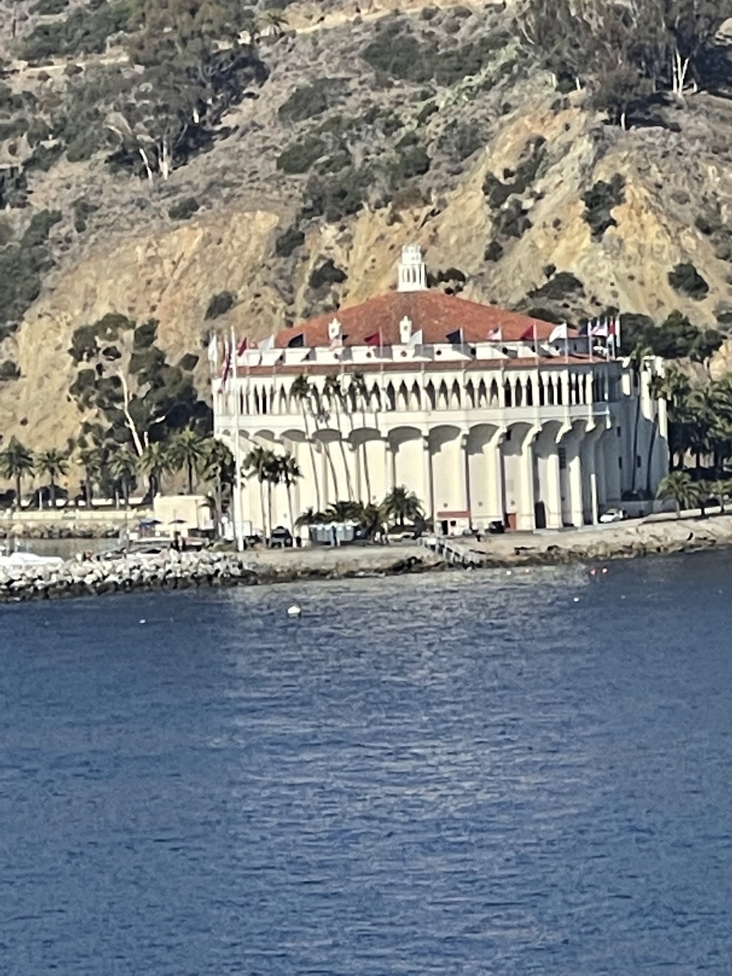 Tuesday’s Thoughts