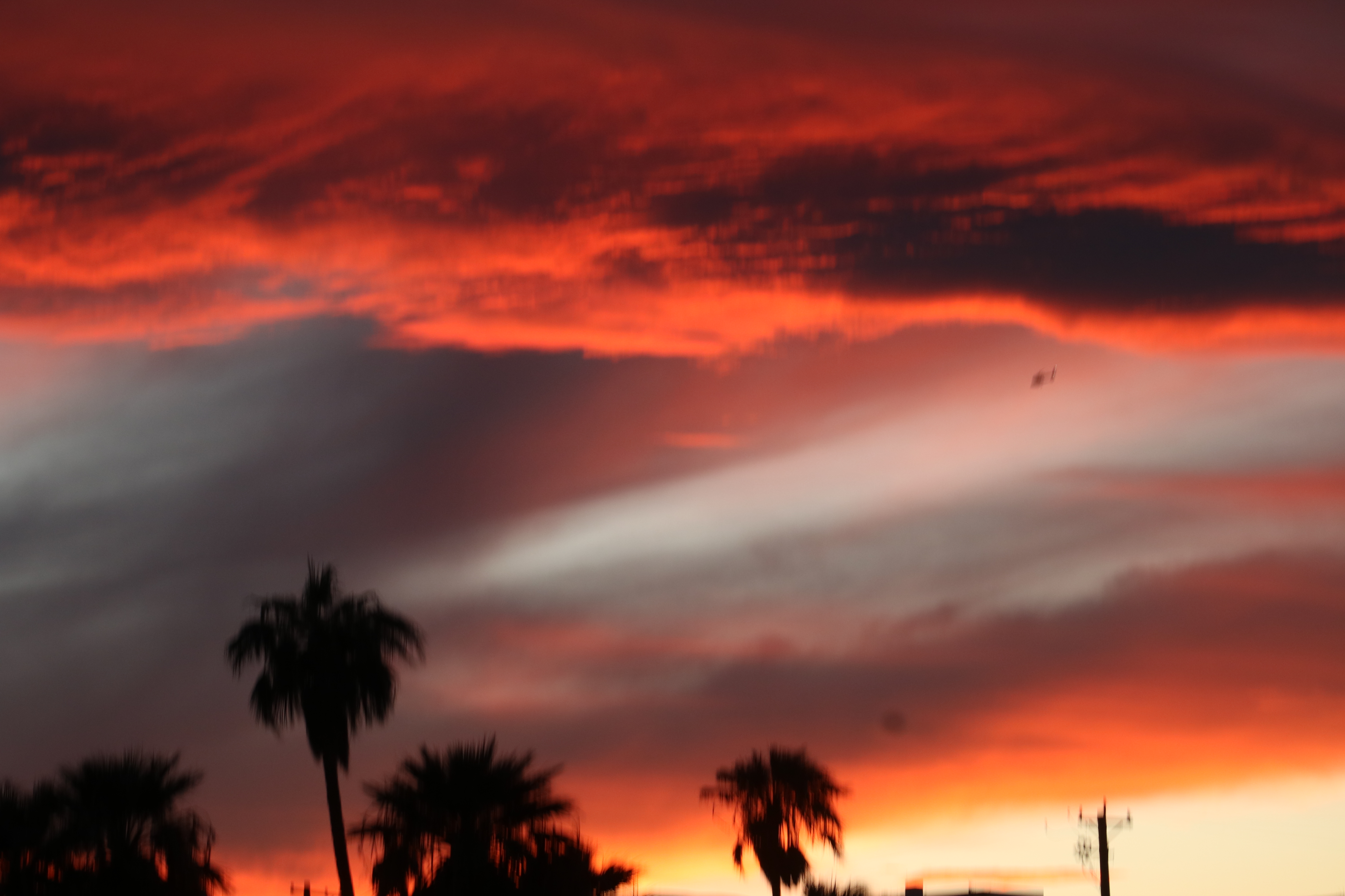 Today’s Scripture_06/20/25