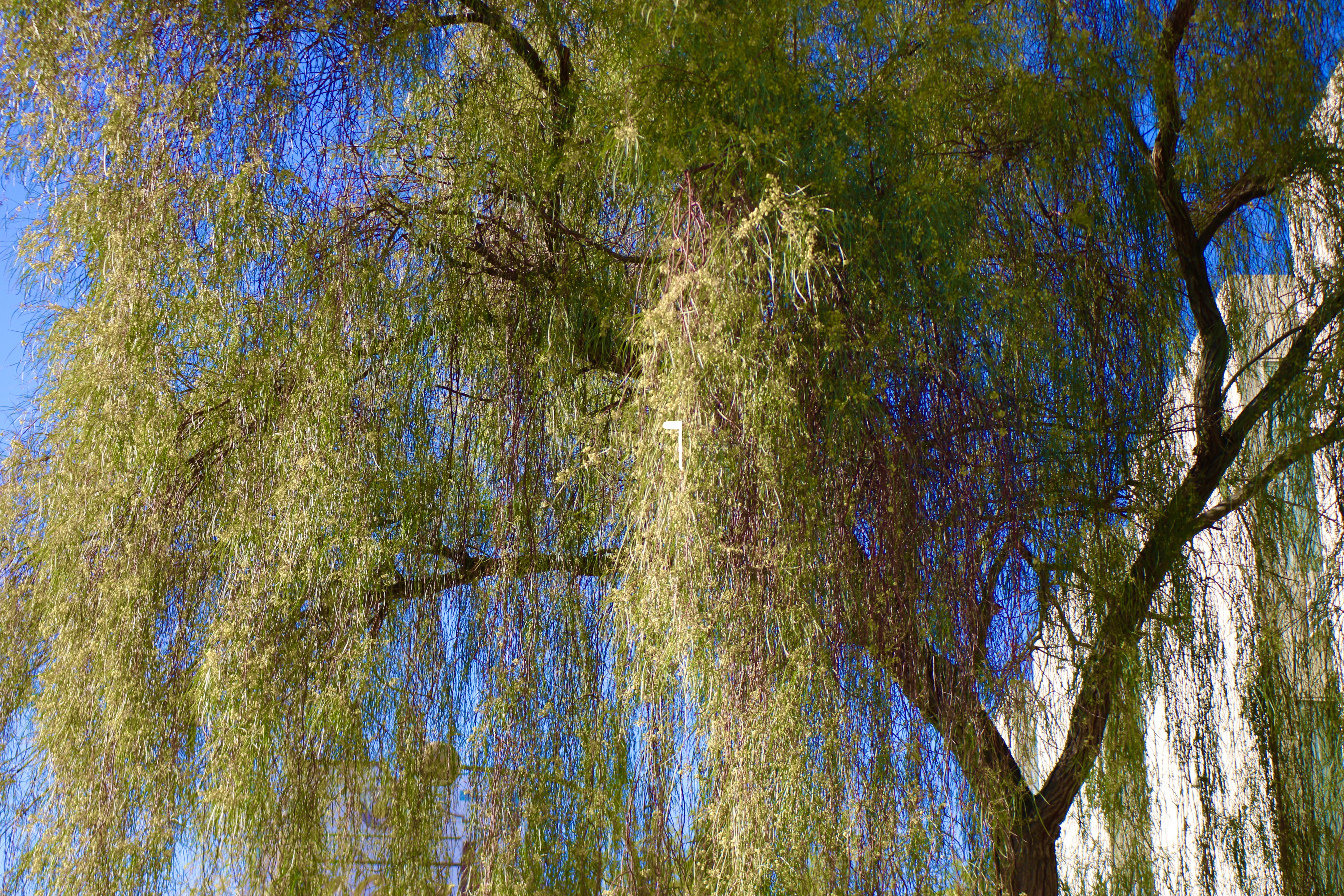 Thoughts on Productivity