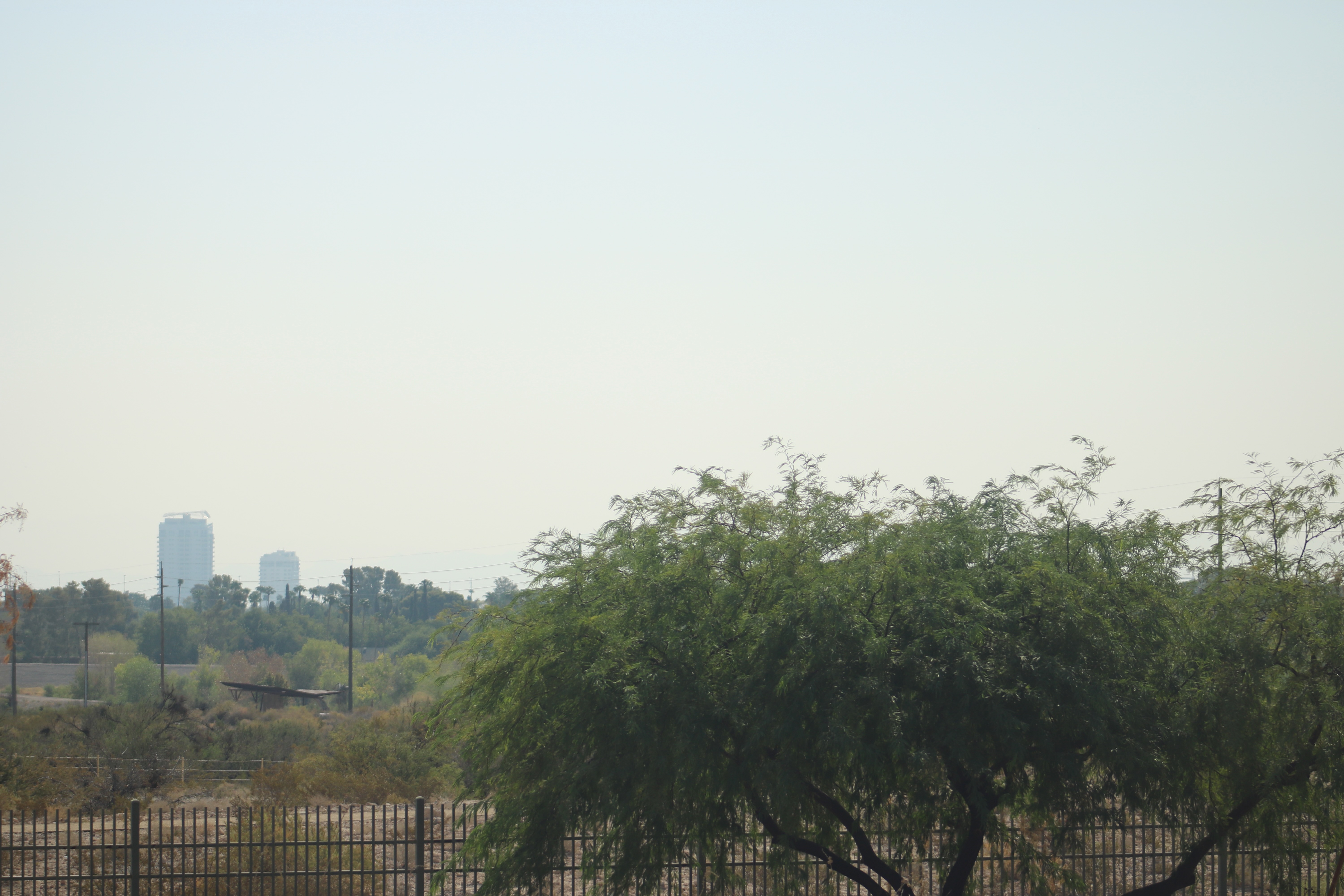 Those Pesky Curve Balls that Accompany Change