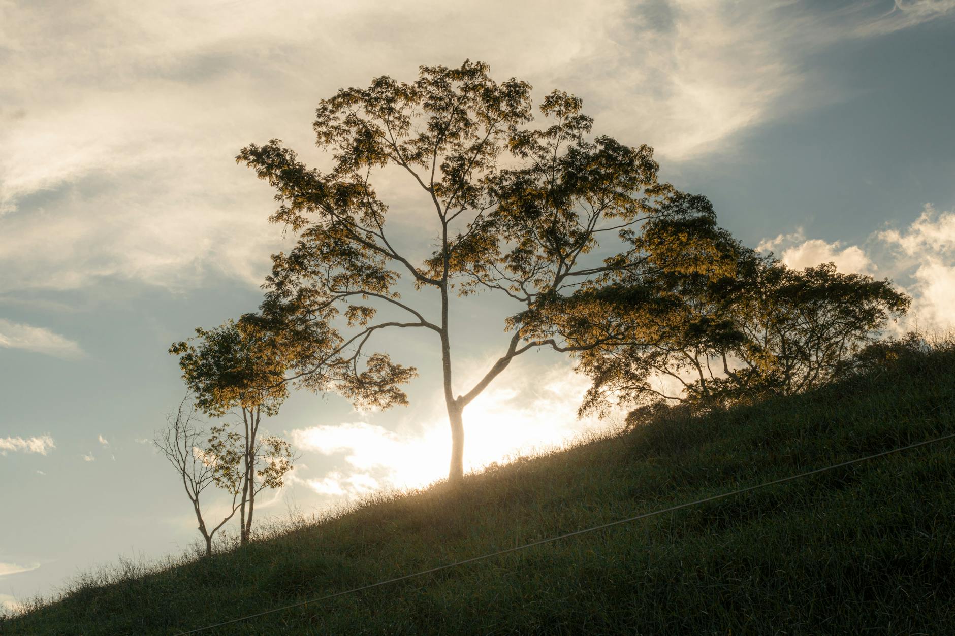 Thoughts about My Relationship with the Lord