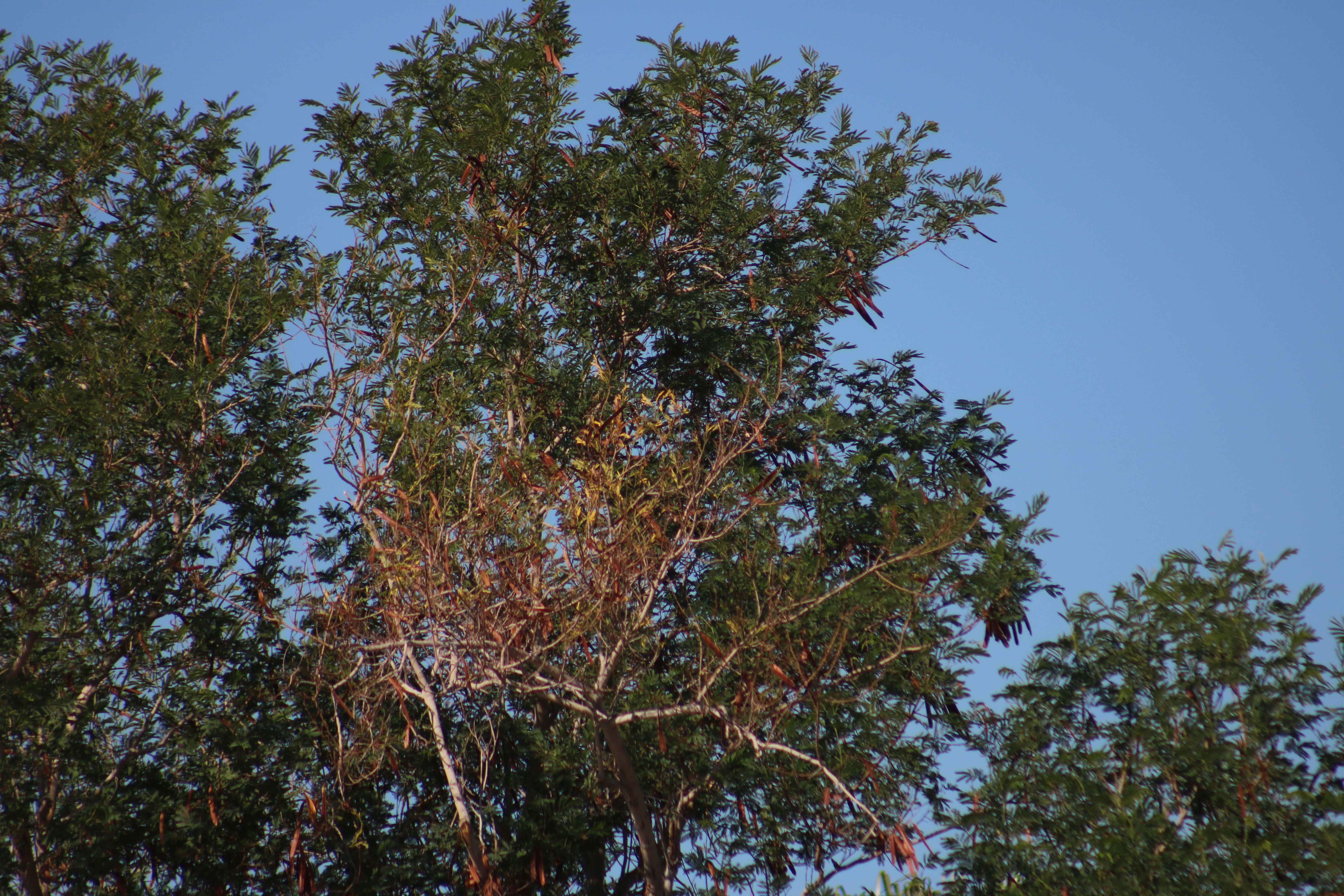 Thoughts and Reflections on 06/18/25