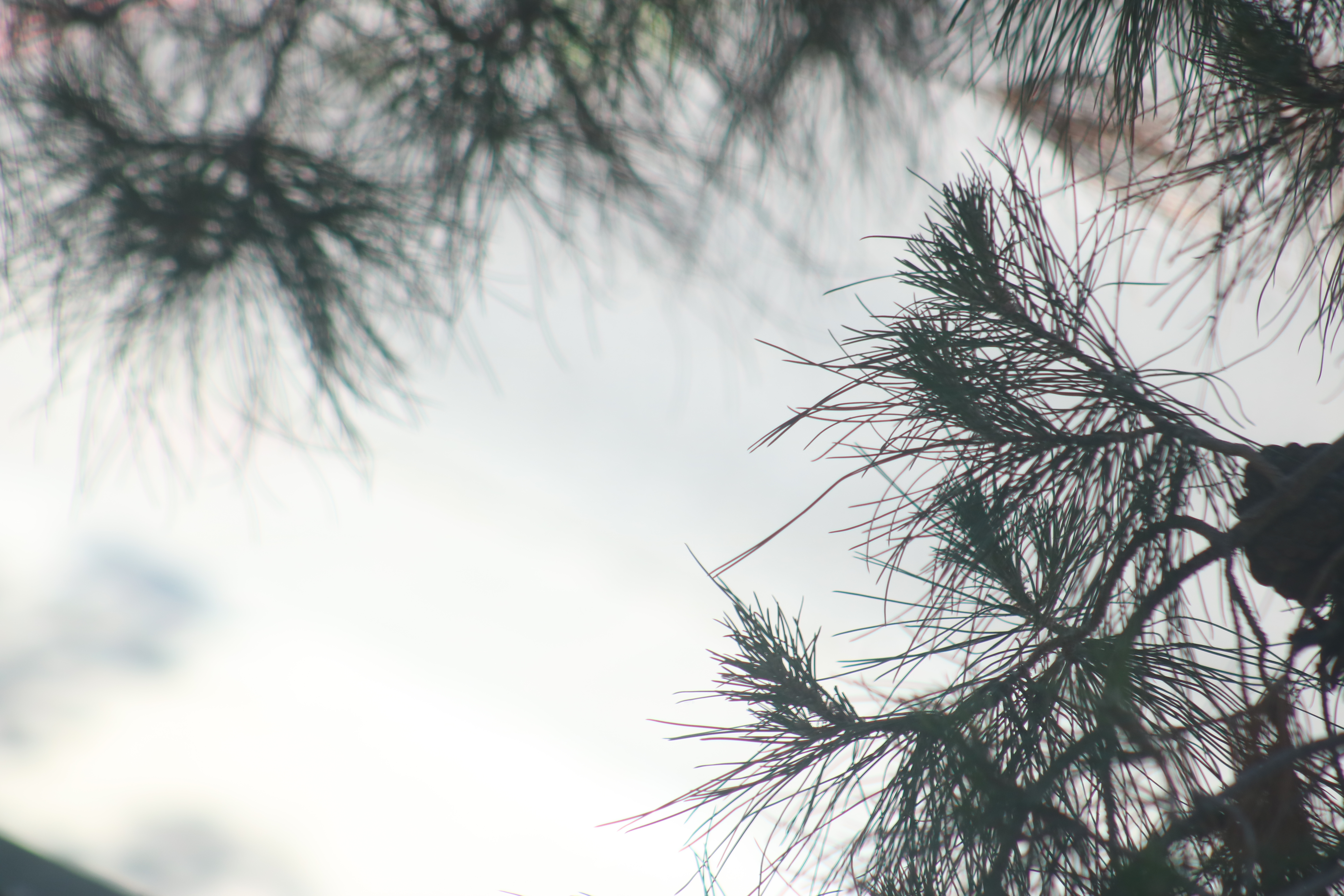 Today’s Thoughts_09/15/25