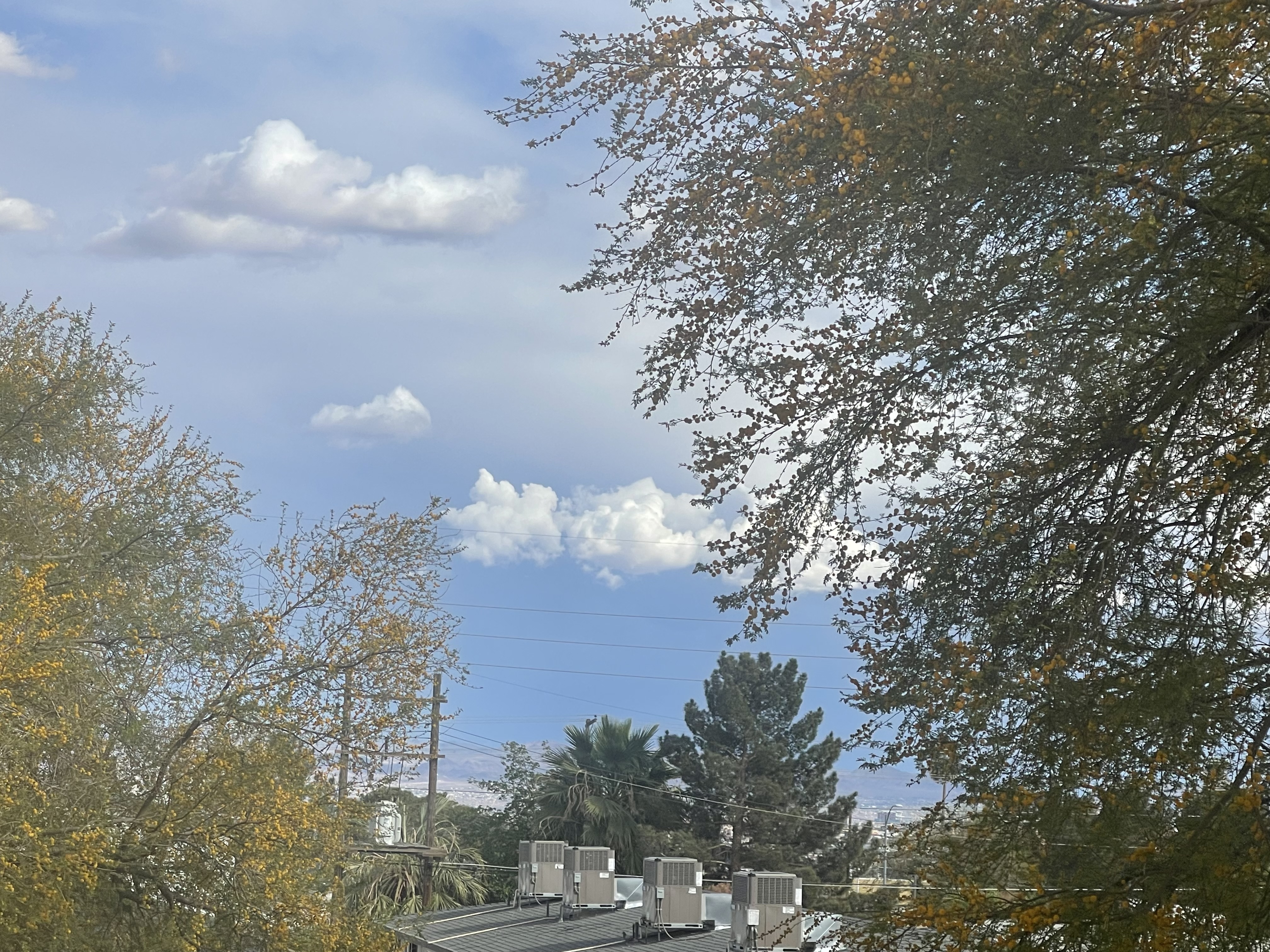 Today’s Thoughts: Rivers of Living Water