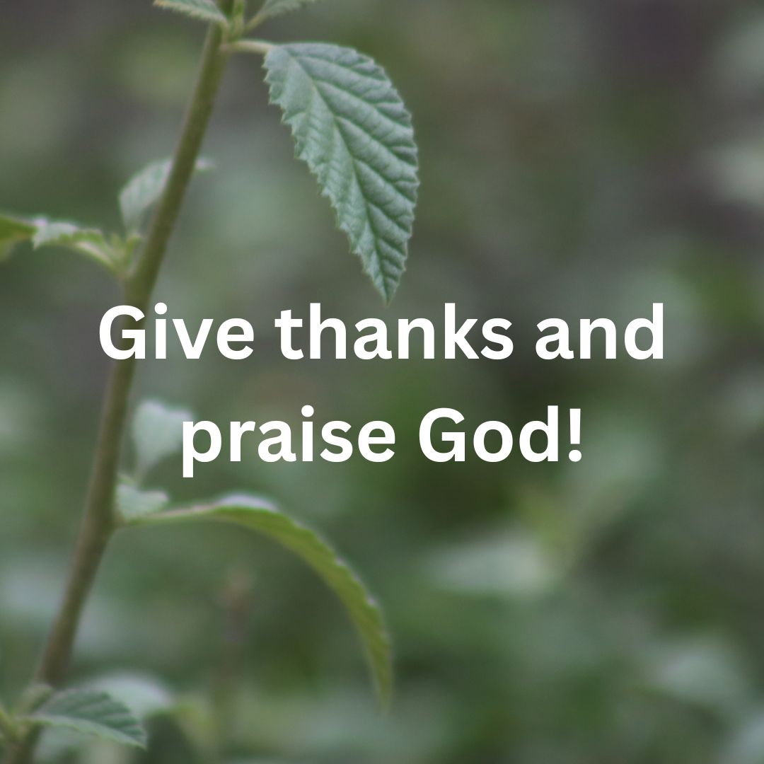 Be Consistent for Change