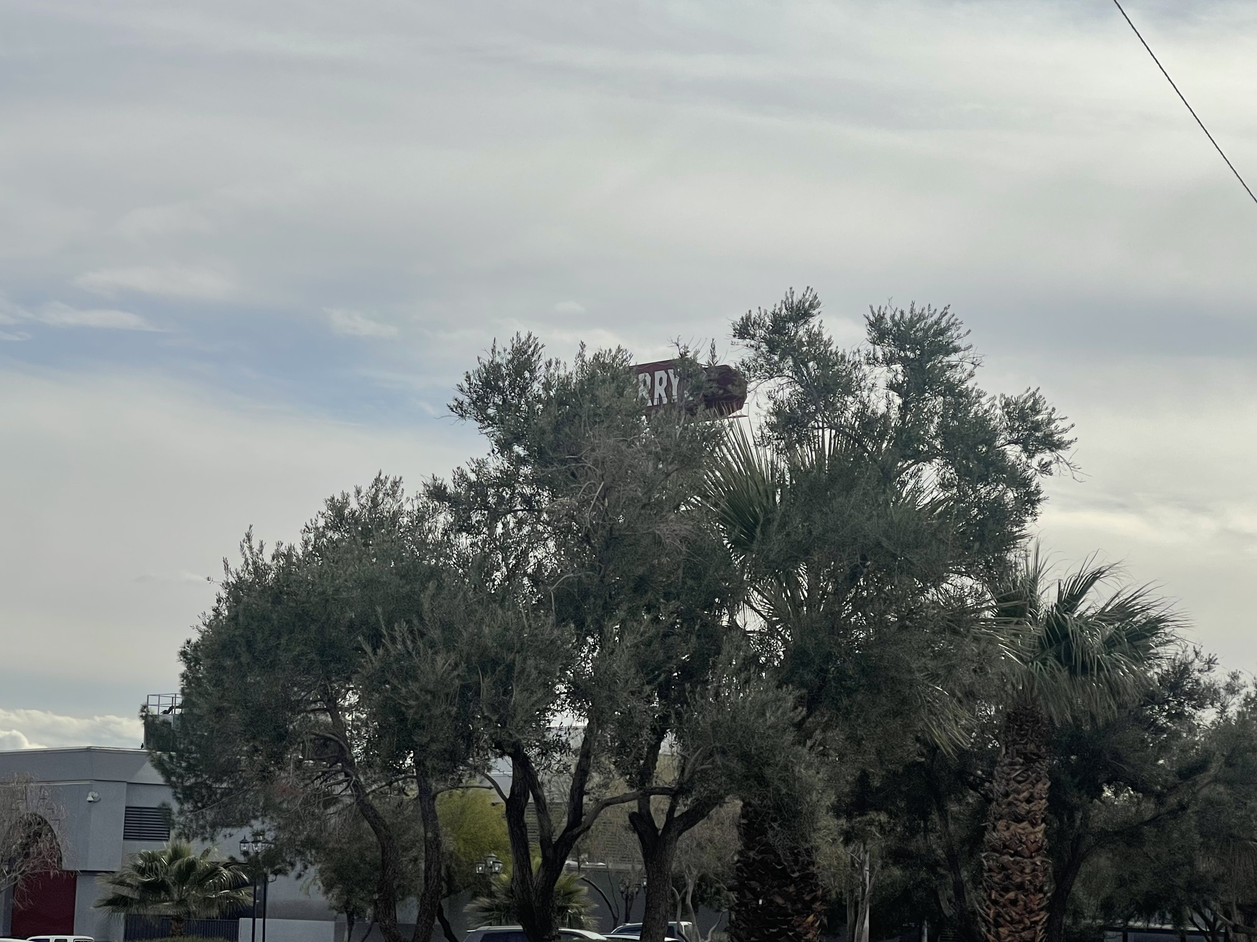 Motives Matter According to God’s Word