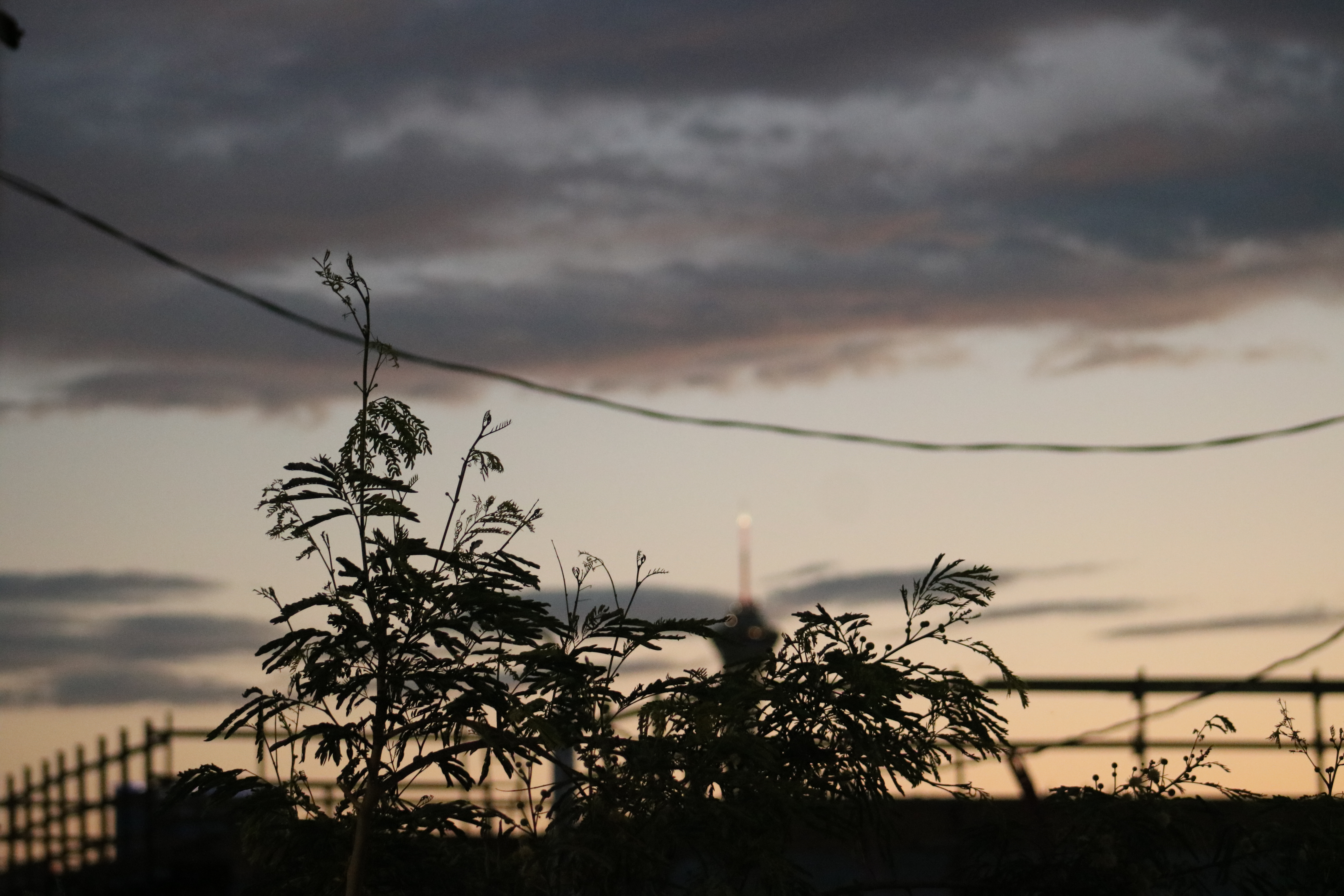 Today’s Scripture: 2 Samuel 22:31-33 | 03/31/26