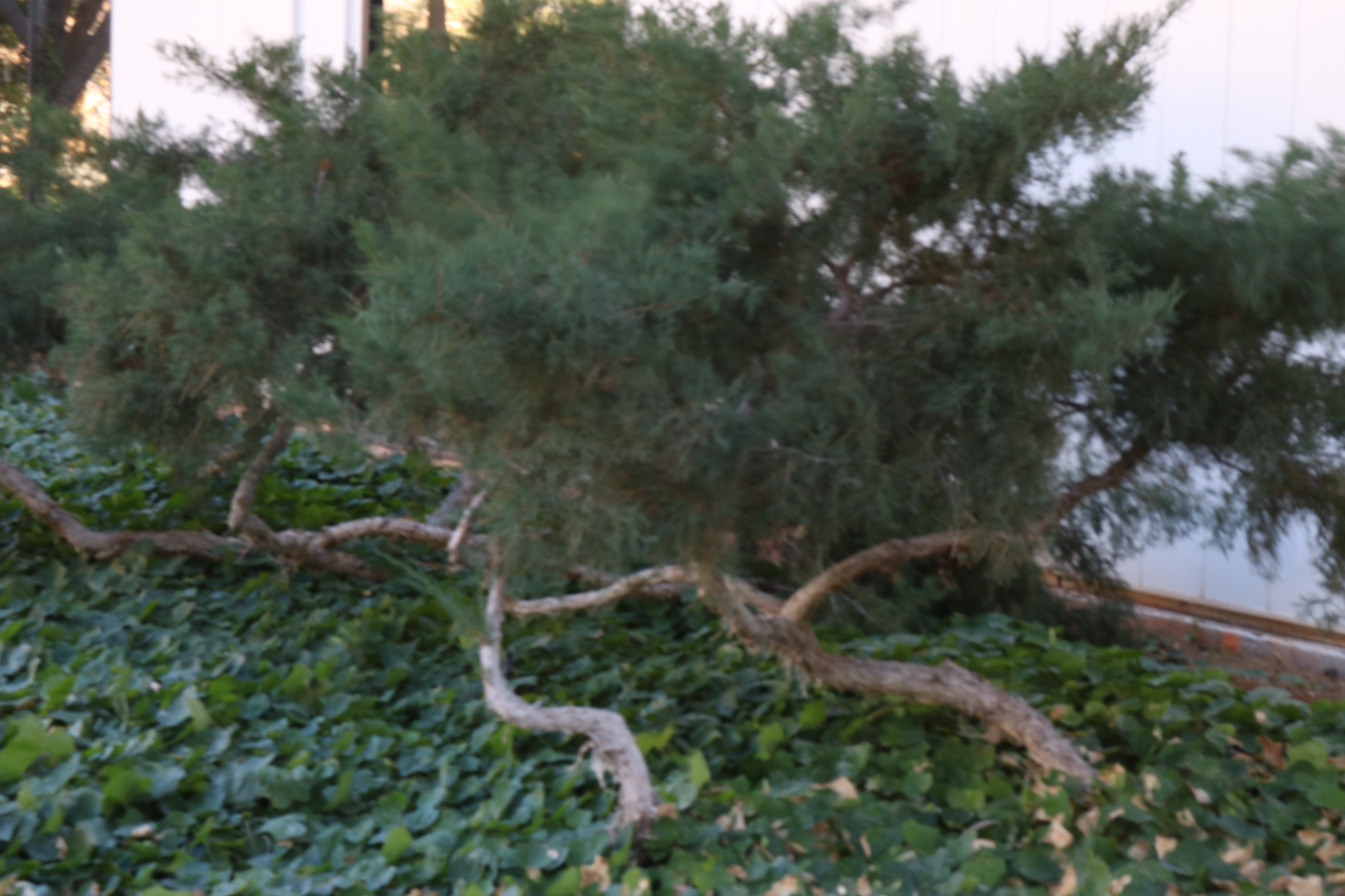 Southern Nevada Health District Resource Links_04/10/26