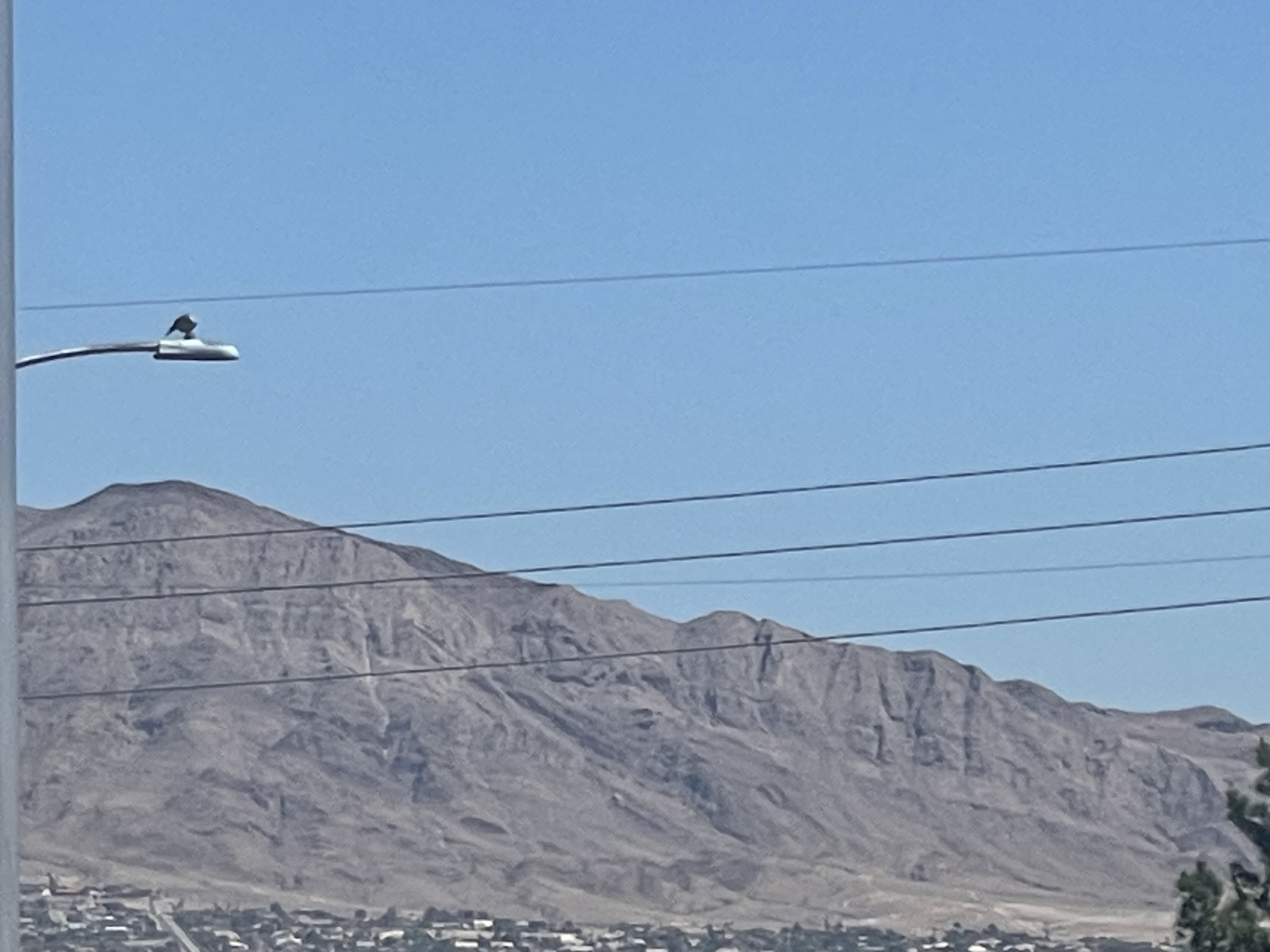 Today’s Scripture: The Faithful Love of the Lord | Lamentations 3:22-24