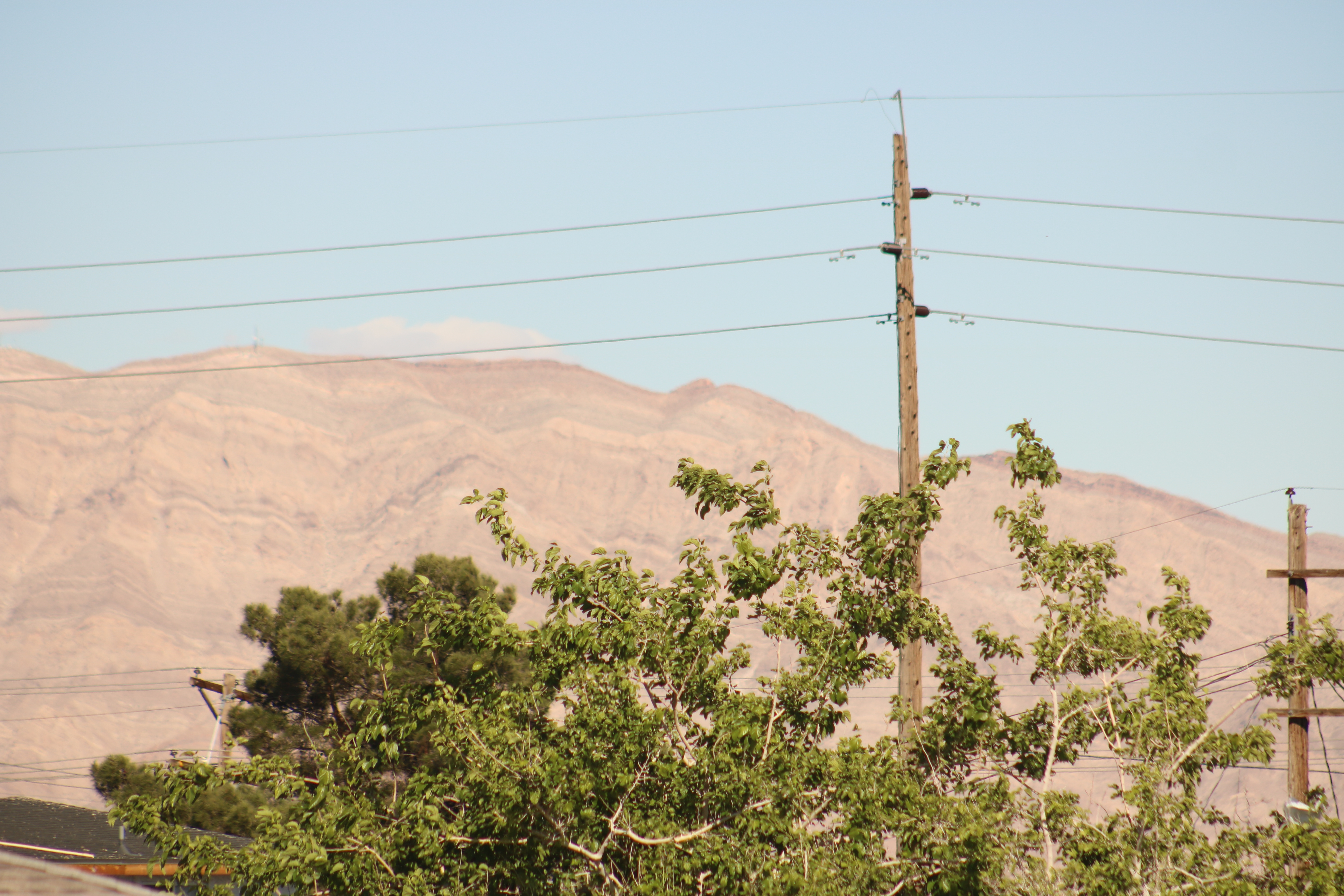 Today’s Scripture: Romans 3:22-24_Our Security is in Him | 04/15/26